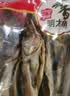 鑫味明 延边明太鱼干海鱼干 开板鱼干特大10条装大鱼约48-50厘米 【明太鱼特大10条1袋】 实拍图