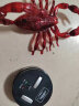 玩控 电动遥控仿真昆虫 动物模型 整蛊玩具道具充电红外无线遥控 红蝎子 晒单实拍图