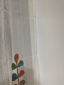 诺罗纱帘成品绣花窗帘韩式田园清新四叶草阳台客厅卧室落地窗透光纱 四叶草纱 2米*2米 1片 挂钩式 成品到货快 实拍图