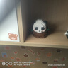 渥驰（WATCHMEN）熊猫积木花花猪猪不兼容乐积木女孩男孩玩具摆件生日礼物儿童节 花花摆烂-504颗粒 实拍图