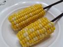 dehub食品级带冰保鲜盒便携外带移动小冰箱自带冰便当盒户外野餐水果盒 【白色300ml+500ml】堆叠设计 实拍图