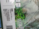 天章 （TANGO）A4铜版纸200g 彩色喷墨铜版名片打印纸 a4喷墨双面高光相片照片彩喷纸 50张/包【仅适用喷墨打印】 实拍图