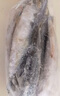 京喜加鲐鲅鱼青占鱼青鱼新鲜冷冻鲅鱼青花鱼整条鲐鱼深海捕捞海鲜鱼类 2斤 鲐鲅鱼3/4两一条 实拍图