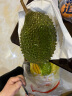 京东超市【新果】京鲜生马来西亚猫山王榴莲D197液氮冷冻 单果4.0-4.5斤 实拍图