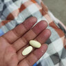 内廷上用软骨钙片中老年人钙片可搭关节疼痛抽筋腰腿疼骨质疏松 【防伪】软骨钙片72g(60片) 五瓶划算装 实拍图