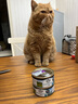 滋益巅峰（ZIWI）主食猫罐85g*10无谷高肉高蛋白全价成猫幼猫通用高营养猫湿粮 【热销推荐】猫罐85g*10 马鲛鱼羊肉【营养美毛】 实拍图