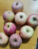 司道和山正宗山东烟台红富士苹果新鲜水果4.5斤当季整箱圣诞平安果栖霞 60-70MM【小果】 【净重3斤】 实拍图