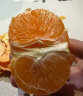 采蘩茂谷柑一级大果 广西武鸣特茂谷柑新鲜水果脏脏柑橘石灰柑皮薄沃 5斤 晒单实拍图