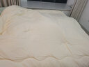 富丽真金（FULLRICH）A类抑菌大豆被空调被夏凉被子春秋被子母被四季通用被芯 A类抗菌-25%大豆被【冬被】 2x2.3米 实拍图