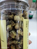 【头采新货】菊花米胎菊花茶新花干胎菊王桐乡正宗杭白菊胎菊米 胎菊（农产品罐装）胎菊一罐 实拍图