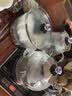 妙胜 智能全自动底部上水壶电热水壶抽水式烧水壶一体家用电茶壶自动上水功夫茶壶泡茶具套装 0.9L 煮茶款-双边上水 实拍图