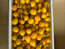 京鲜生 千禧圣女果 小西红柿 樱桃番茄 约1.5kg  生鲜水果 晒单实拍图