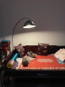 JOICO瑞士品牌极简钓鱼灯客厅落地灯轻奢沙发设计师高级感氛围灯 意式小号-遥控调光 晒单实拍图