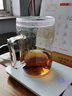 76茶业水杯泡茶杯耐热高硼硅玻璃杯办公室茶水分离杯带盖绿茶杯 450ml（含内胆） 450ml 1只 实拍图