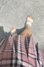 BIRKENSTOCK勃肯德国进口女款牛皮绒面革软底白色Arizona双扣拖鞋 复古白色窄版1024516 39 实拍图