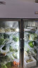 星星（XINGX）展示柜冷藏冰柜商用 超市饭店水果蔬菜大容量保鲜柜冰箱 802升 | BC-980Y 晒单实拍图