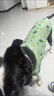 阿莫尔小狗狗猫咪衣服夏季薄款泰迪比熊博美背心宠物小型幼犬透气防掉毛 牛油果（夏季） L 建议7-9斤 背长32cm 实拍图