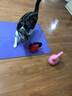 哈他【绝版特卖】瑜伽垫橡胶垫舞蹈砖铺巾泡沫轴瑜伽轮健身训练家用 80TPE瑜伽垫【颜色款式随机发】 默认微瑕介意勿拍 实拍图