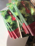 借东西的小人（卡内基奖70年十大童书经典，又名《地板下的小人》，小学基础阅读书目推荐） 课外阅读 暑期阅读 课外书 实拍图