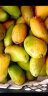 正宗小台农芒果 现摘小台芒应季热带水果特产芒果 大果70-150g 9斤带箱（净重8.5） 晒单实拍图