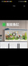 长锐鱼缸客厅大型造景生态超白玻璃家用办公室免换水水族箱 超白MC1000+沙漠绿洲景 实拍图