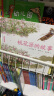 蔡皋中国经典绘本（套装5册）桃花源的故事花木兰宝儿百鸟羽衣隐形的叶子儿童绘本童书 实拍图