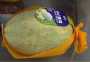 沙地西州蜜瓜1.5-2kg 实拍图