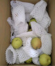 涵果品牌新疆库尔勒香梨新鲜礼盒当季水果脆甜香妃梨子整箱礼盒 4.5斤单果100-120克 实拍图
