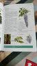常见花草轻图鉴  精选170多种常见花草，近1000幅精美彩图，全面图解，详细介绍 实拍图