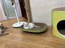超大猫窝猫抓板一体耐磨不易掉屑猫咪窝磨爪耐抓保护沙发防猫抓圆形猫爪盆猫玩具 超特大号+六件套椭圆48*34 实拍图