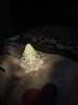 鸿视圣诞节风灯烛台灯LED手提电子蜡烛灯水晶小夜灯圣诞节装饰品挂件 冰山小夜灯-小号5*6cm 氛围 实拍图