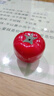 GOTOVAN西红柿学习计时器闹钟小学生专用提醒定时器儿童自律打卡必备神器厨房时间管理器 【计时器】无需电池/定时精准 丨7.3*5.5cm 实拍图