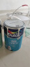 多乐士（Dulux）致悦竹炭抗甲醛五合一净味 抗菌乳胶漆室内墙漆 油漆涂料 A8146 15L套装 白漆 不可调色 实拍图