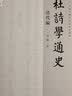 杜诗学通史·清代编 实拍图