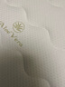 菲欧丽 S黄麻床垫椰棕垫 天然乳胶床垫定制折叠榻榻米黄麻硬床垫 B款20CM=15CM S黄麻+乳胶+面料 1.8米*2米 实拍图