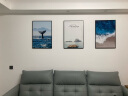 好久不见客厅装饰画现代简约沙发背景墙挂画大海风景三联壁画 晒单实拍图