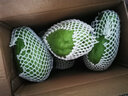 蔬果哆 新鲜蔬菜 云南特产 佛手瓜 嫩瓜 捧瓜窝瓜 2.5kg(一箱五斤) 实拍图