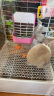 洁西（JESSIE）宠物二合一草架 适用于兔子豚鼠龙猫荷兰猪 食盒食盆草筐 实拍图