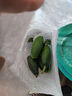 京喜加新鲜无刺水果小黄瓜小青瓜脆甜荷兰脆嫩生吃黄瓜蔬菜 2根 200g 尝鲜装 实拍图