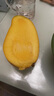春福乐 【顺丰速运】海南三亚青皮澳芒 现摘芒果新鲜水果礼盒装 大果5斤丨时令尝鲜丨单果350+ 陆运一级果【性价比推荐】 实拍图