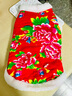 阿莫尔猫咪唐装狗狗衣服东北大花棉袄泰迪比熊博美柯基小狗新年喜庆服装 东北大花（红色） XL-具体参考背长和胸围 实拍图