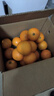 京喜加【双十一抢鲜】冰糖橙甜橙纯甜无酸水果 当季新鲜手剥橙现摘现发 带箱5斤60-70mm普箱 实拍图