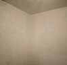 立邦京雅居金标超值乳胶漆净味120二合一无添加环保内墙漆5L 实拍图