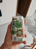 伊利金典金小典儿童有机牛奶整箱 195ml*16盒 3.6g乳蛋白儿童成长牛奶 实拍图