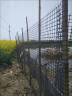 塑料网围栏网养殖网养鸡围栏网果园菜园围栏网格防护隔离栅栏围网 1.2米高50米长送扎带 3.5厘米孔1.8毫米厚 实拍图