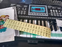 八度宝贝（Octavebaby）88键电子琴成人儿童初学者入门通用多功能专业电钢幼师教学型乐器 入门版(61键)儿童款 实拍图