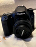 佳能/Canon 60D 70D 77D 80D 90D 半画幅 中高端单反 二手单反相机 数码相机 60D+18-200IS套机 99成新 实拍图