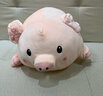 捉趣（ZHUOQU）可爱小猪玩偶毛绒玩具女孩趴趴猪公仔娃娃安抚陪伴抱枕520女礼物 bobo猪呆萌款【一只】 80cm 实拍图