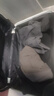 大嘴猴（Paul Frank）行李箱女拉杆箱男轻音万向轮旅行箱学生出差商务拉链箱大容量皮箱 乳白色（加厚耐用） 28英寸 /大适合长途 实拍图