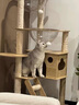 CHONLDERL猫爬架猫窝猫树一体大型太空舱通天柱猫架剑麻玩具猫抓板猫咪用品 【8层太空舱】猫乐园ML-2 实拍图